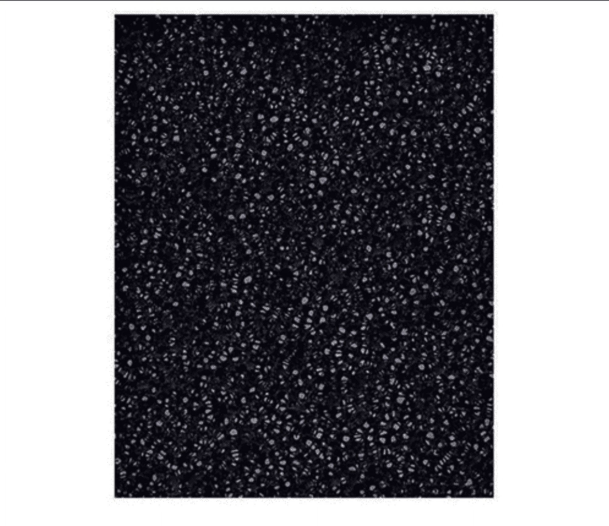 Oreck Premium A3 Filter - 1 Pack