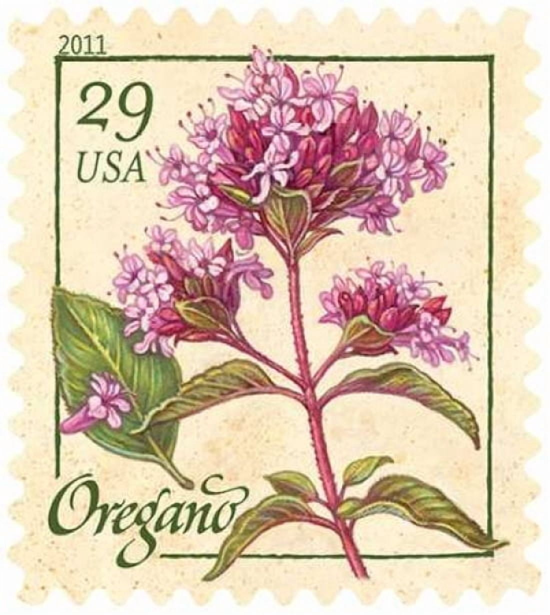 Oregano Canvas Art - US POSTAL SERVICE (24 x 24)