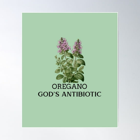 Oregano God’S Antibiotic Gift For Herbalist Poster Wall Art, Modern Wall Decor For Living Room Bedroom, 16x24 UNFRAMED
