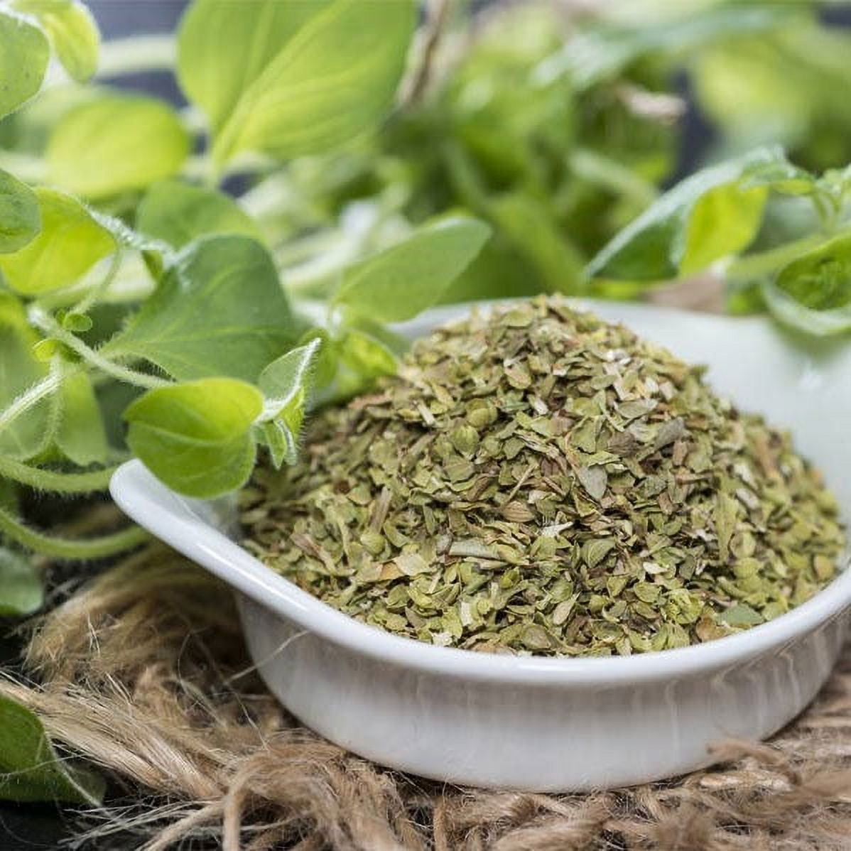 Oregano Seeds (Organic) - Greek - Packet - Herb Seeds, Heirloom Seed,  Organic Seed Easy to Grow & Maintain, Edible, Fragrant, Culinary -  Walmart.com
