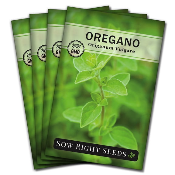Oregano Seeds for Planting - Non GMO Heirloom Varieties for your Indoor or Outdoor Herb Garden - 4 Pack