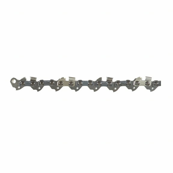 Oregon 2 Pack of Genuine OEM Replacement Cutting Chains # 91PX050G-2PK