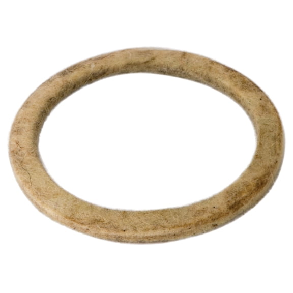 Oregon WASHER,FELT,AIR CHAMBER PRESSU | 572049