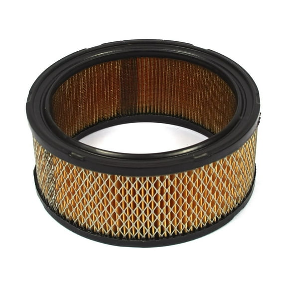 Oregon Air Filter