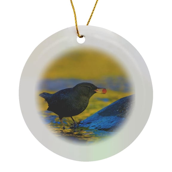 3drose, Oregon, American Dipper Bird, Salmon Egg - Us38 Glu0000 - Gary Luhm, Circle Porcelain Ornament