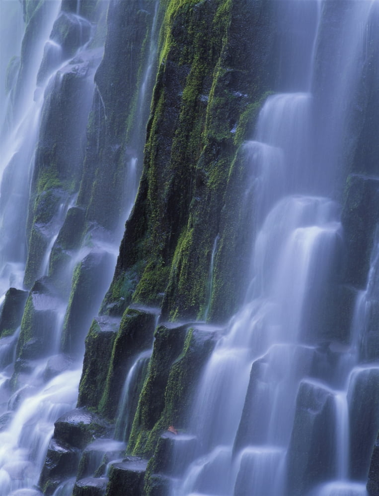 Oregon Cascade Mountains Three Sisters Wilderness Lower Proxy Falls B1598 Canvas Art - Greg Vaughn Design Pics (26 x 34)