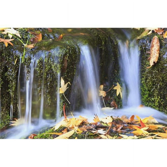 Oregon Cascades Oregon USA Poster Print - 19 x 12