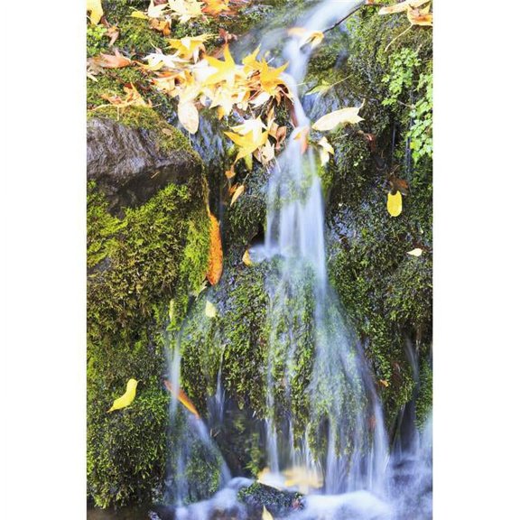 Oregon Cascades Oregon USA Poster Print - 24 x 38