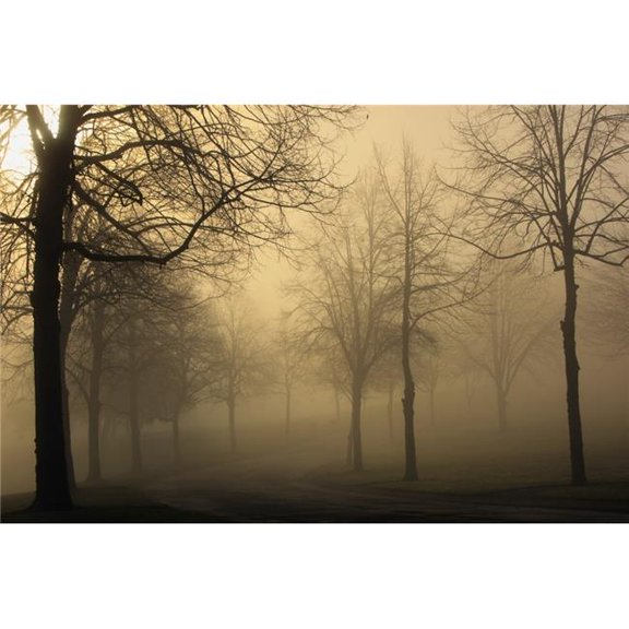 Oregon Cascades Oregon United States of America - Sun Shining Through the Fog Poster Print