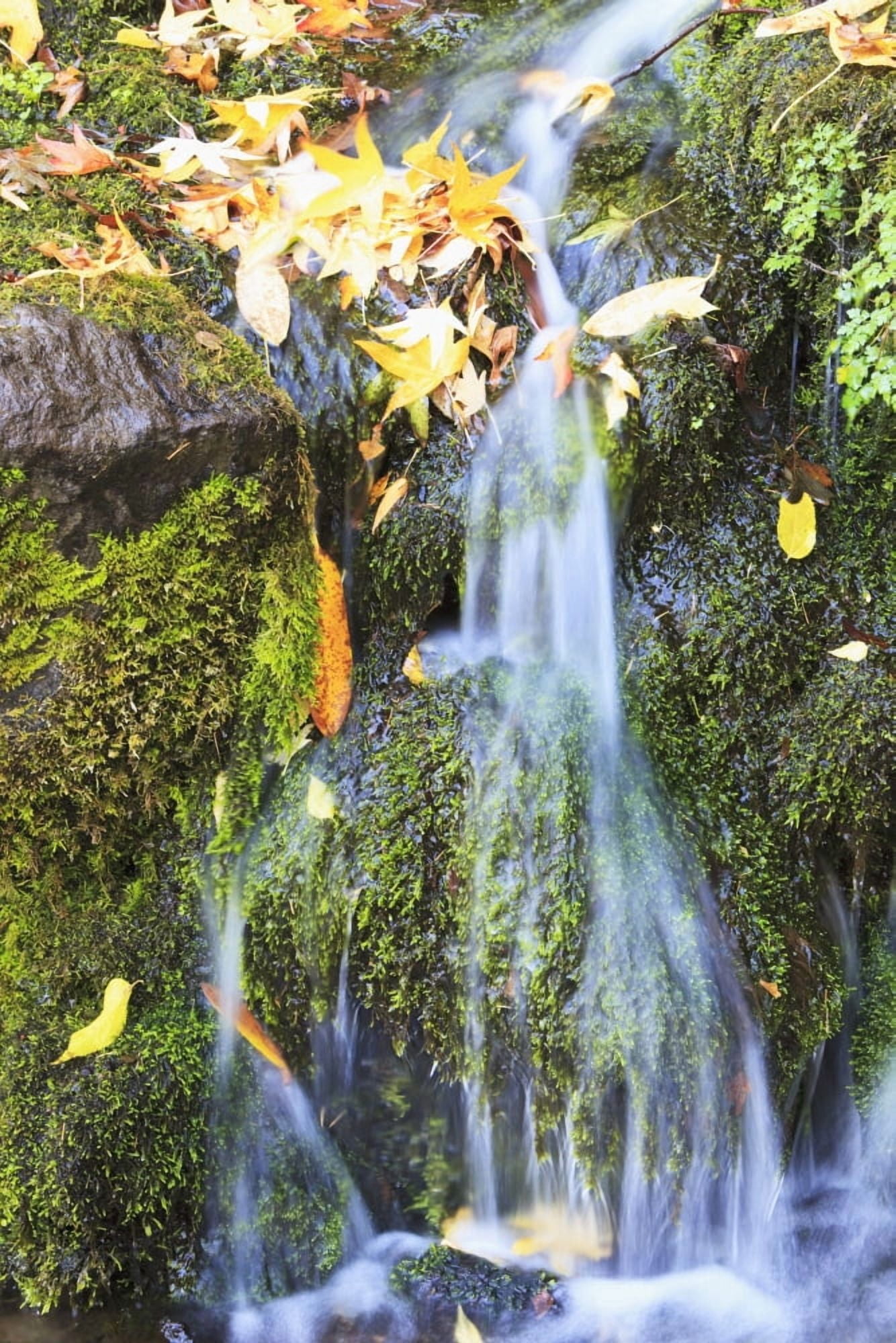 Oregon Cascades Oregon Usa Canvas Art - Craig Tuttle Design Pics (24 x 38)