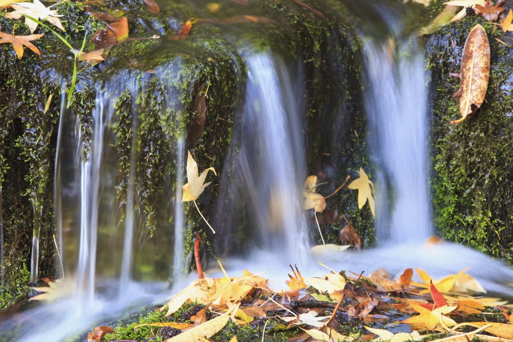 Oregon Cascades Oregon Usa Canvas Art - Craig Tuttle Design Pics (38 x 24)