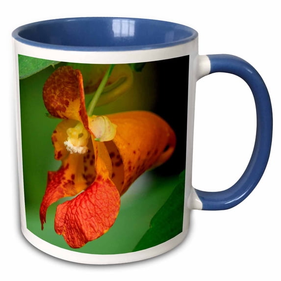3drose, Oregon. Close-up of Jewelweed Flower., 11oz Two-tone Blue Mug