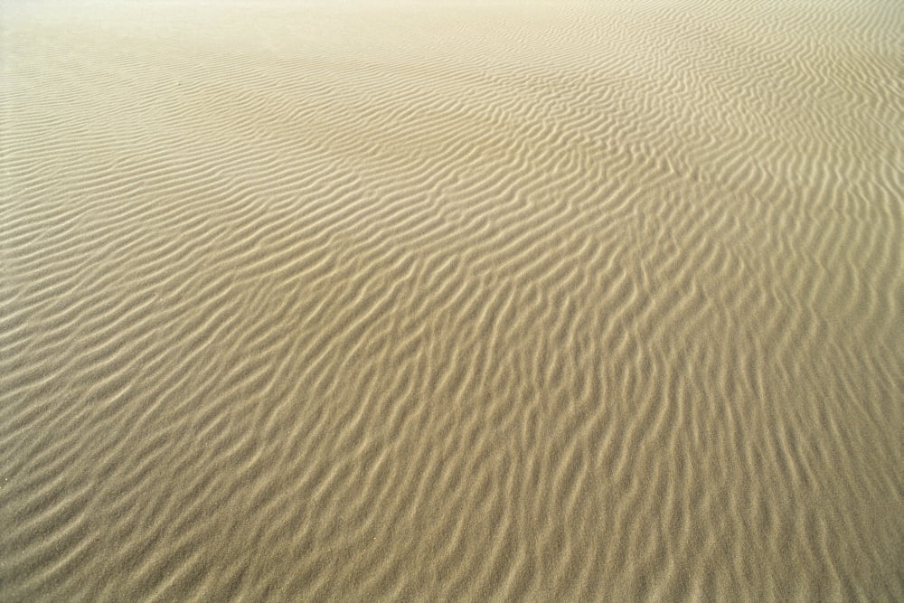 Oregon Close-Up Of Sand Patterns In The Umpqua Dunes Canvas Art - Greg Vaughn Design Pics (19 x 12)