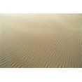 thumbnail image 1 of Oregon, Close-Up Of Sand Patterns In The Umpqua Dunes Poster Print (19 x 12), 1 of 4