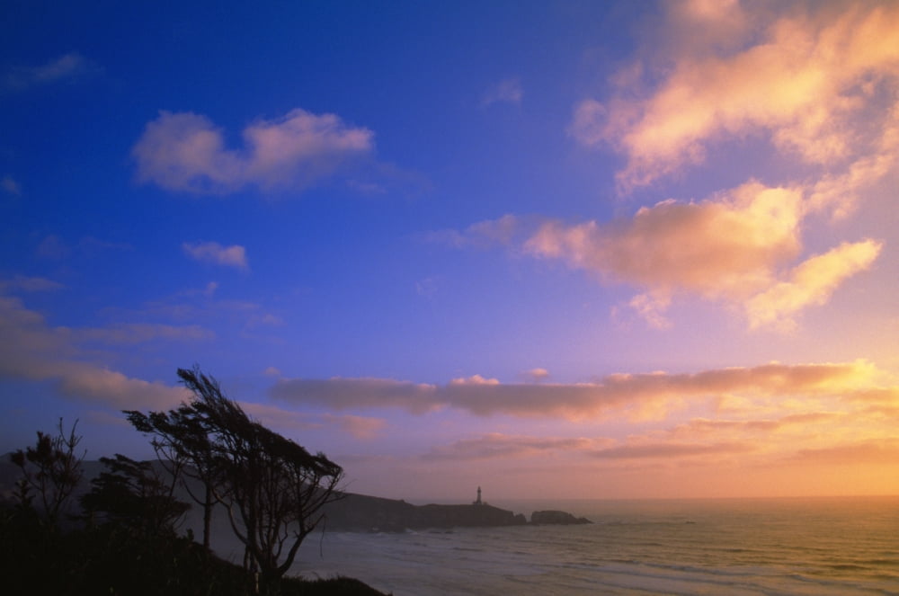 Oregon Coast Usa Canvas Art - Natural Selection Craig Tuttle Design Pics (36 x 24)