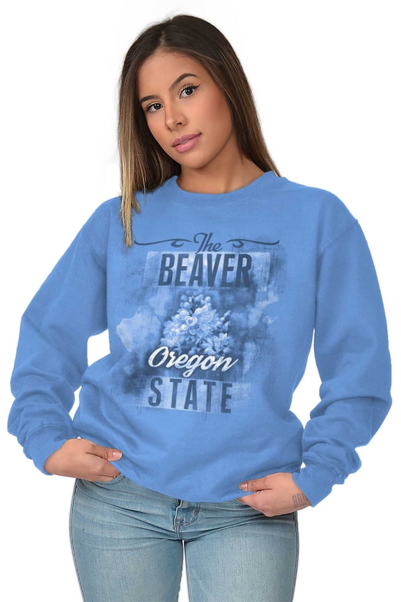 Oregon Cute State Flower Souvenir Women Crewneck Sweatshirt Brisco Brands S