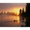 thumbnail image 1 of Oregon. Deschutes National Forest  rising sun breaks through morning fog along the Deschutes River. Poster Print by John, 1 of 1