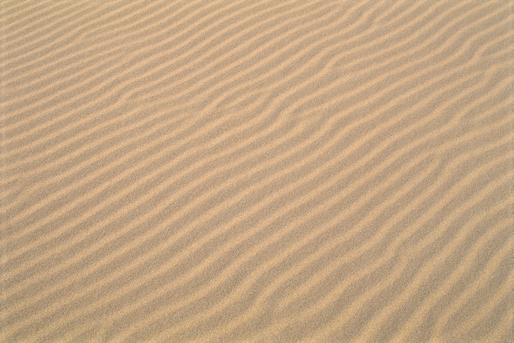 Oregon Dunes National Recreation Area Sand Patterns Detail A33F Canvas Art - Greg Vaughn  Design Pics (19 x 12)