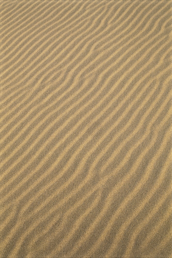 Oregon Dunes National Recreation Area Sand Patterns Wave Like Canvas Art - Greg Vaughn Design Pics (12 x 19)
