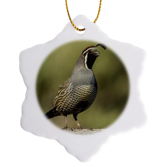 3drose, Oregon, Harney County, California Quail, 3 inch Snowflake Porcelain Ornament