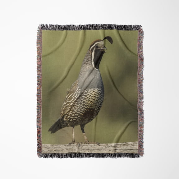 Oregon, Harney County, California Quail, Woven Blanket