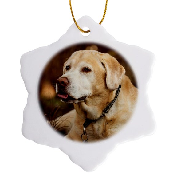 3drose, Oregon, Keizer, Labrador Retriever in Backyard., 3 inch Snowflake Porcelain Ornament