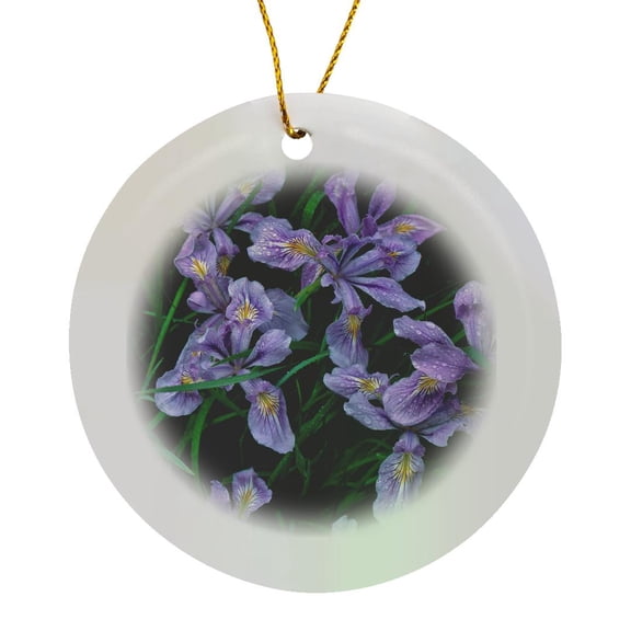 3drose, Oregon, Mt Hood National Forest. Wild Iris Close-up., Circle Porcelain Ornament