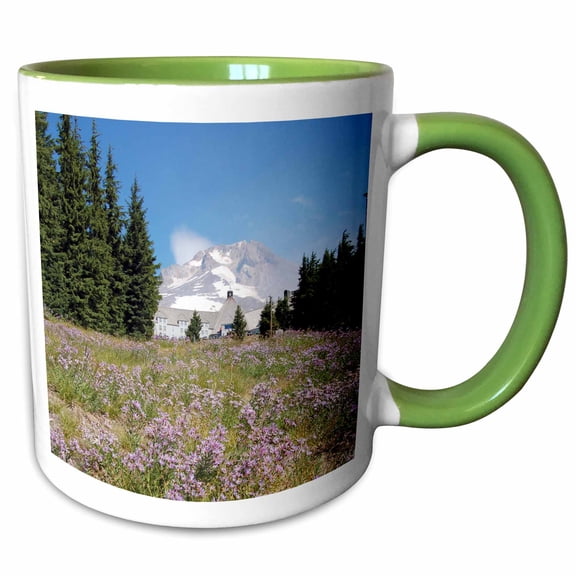 3drose, Oregon, Mt. Hood. Timberline Lodge, Mt. Hood - Us38 Lse0002 - Lynn Seldon, 11oz Two-tone Green Mug
