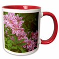 thumbnail image 1 of 3drose, Oregon. Nelly Moser Clematis Flower - Us38 Jeg0026 - Julie Eggers, 11oz Two-tone Red Mug, 1 of 6