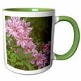thumbnail image 1 of 3drose, Oregon. Nelly Moser Clematis Flower - Us38 Jeg0026 - Julie Eggers, 15oz Two-tone Green Mug, 1 of 6
