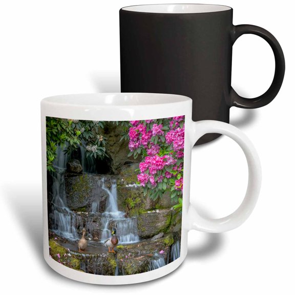 3drose, Oregon, Portland, Mallard Ducks Pair on Rocks Next to Waterfall., 11oz Magic Transforming Mug