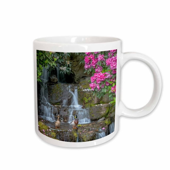 3drose, Oregon, Portland, Mallard Ducks Pair on Rocks Next to Waterfall., 11oz Mug