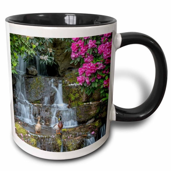 3drose, Oregon, Portland, Mallard Ducks Pair on Rocks Next to Waterfall., 11oz Two-tone Black Mug