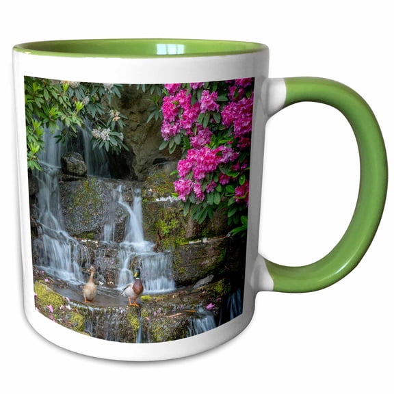 3drose, Oregon, Portland, Mallard Ducks Pair on Rocks Next to Waterfall., 11oz Two-tone Green Mug