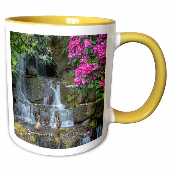 3drose, Oregon, Portland, Mallard Ducks Pair on Rocks Next to Waterfall., 11oz Two-tone Yellow Mug