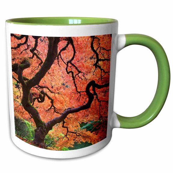 3drose, Oregon, Portland. Maple Trees, Japanese Garden - Us38 Bja0653 - Jaynes Gallery, 11oz Two-tone Green Mug