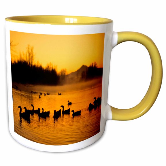 3drose, Oregon, Portland. Waterfowl Bird, Columbia Slough - Us38 Bja0208 - Jaynes Gallery, 11oz Two-tone Yellow Mug