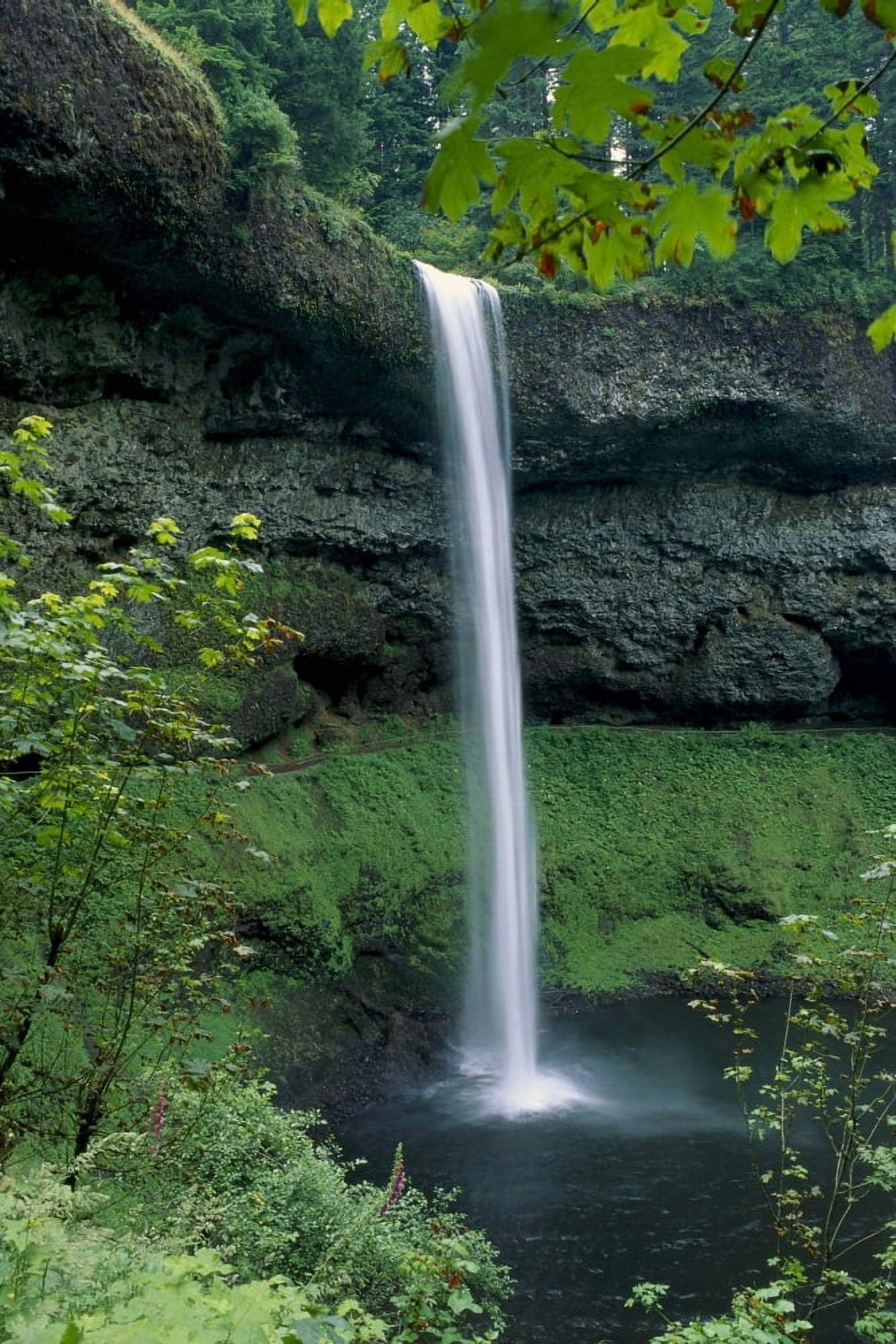 Oregon Silver Falls National Park South Falls B1653 Canvas Art - Michael Howell Design Pics (24 x 38)