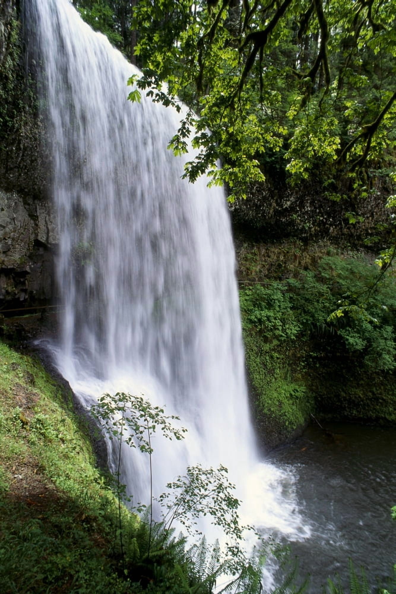 Oregon Silver Falls State Park Lower South Falls B1648 Canvas Art - Greg Vaughn Design Pics (24 x 38)