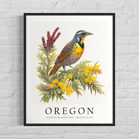Oregon State Bird And Flower Poster, State Symbol Wall Art Print