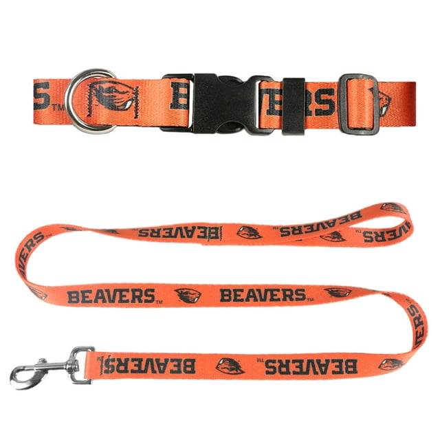 Oregon State University 3/4 inch x 6ft Dog Leash and 3/4 inch Small Collar Set, Orange Beaver