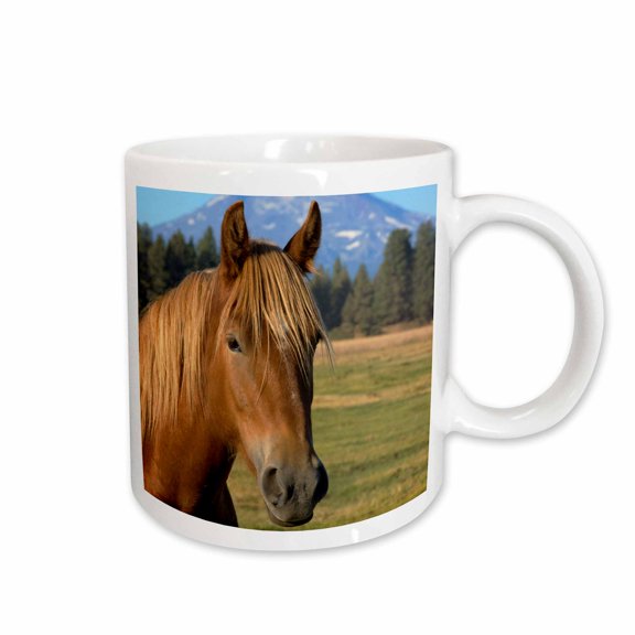 3drose, Oregon, Three Sisters, Cascade Range, Horse - Us38 Len0017 - Lisa S. Engelbrecht, 11oz Mug