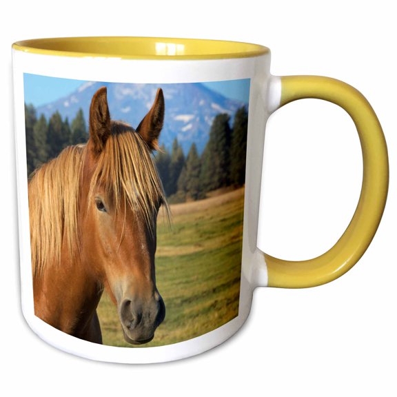 3drose, Oregon, Three Sisters, Cascade Range, Horse - Us38 Len0017 - Lisa S. Engelbrecht, 11oz Two-tone Yellow Mug