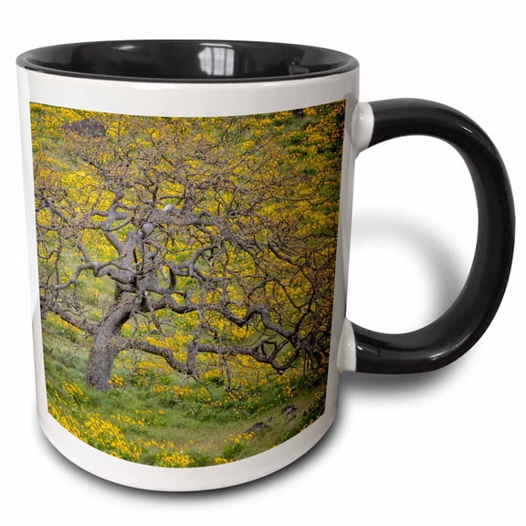 3drose, Oregon, Tom Mccall Conservancy. Meadow with Wildflowers and Oak Tree., 11oz Two-tone Black Mug