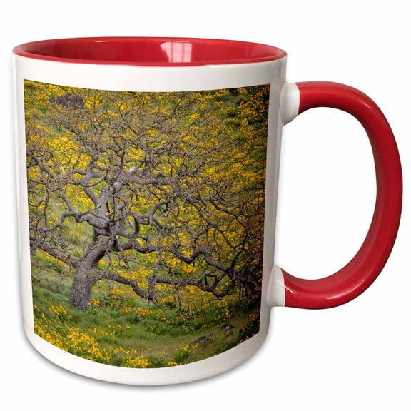 3drose, Oregon, Tom Mccall Conservancy. Meadow with Wildflowers and Oak Tree., 11oz Two-tone Red Mug