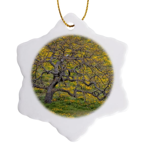 3drose, Oregon, Tom Mccall Conservancy. Meadow with Wildflowers and Oak Tree., 3 inch Snowflake Porcelain Ornament