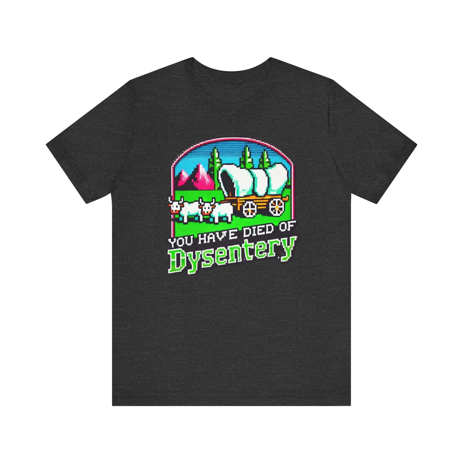 Oregon Trail You Have Died of Dysentery 80s Style Graphic T-Shirt ...