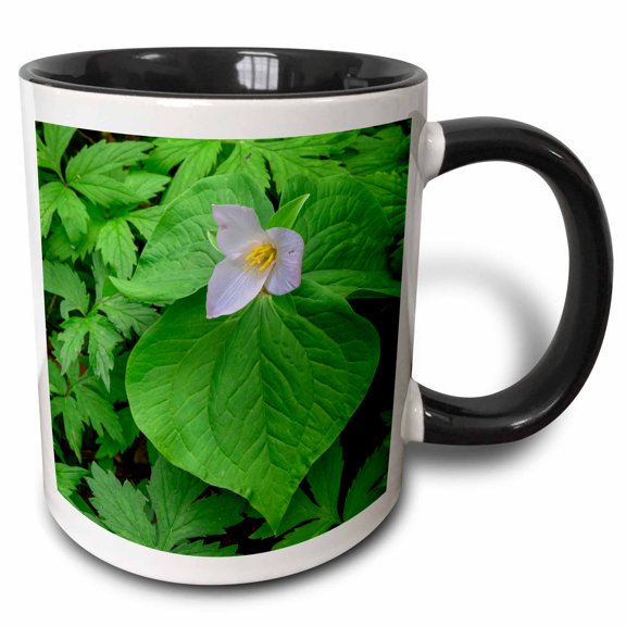 3drose, Oregon, Tryon Creek, Western Trillium in Bloom Surrounded by Green., 11oz Two-tone Black Mug