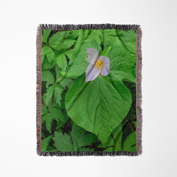 Oregon, Tryon Creek, Western Trillium In Bloom Surrounded By Green., Woven Blanket