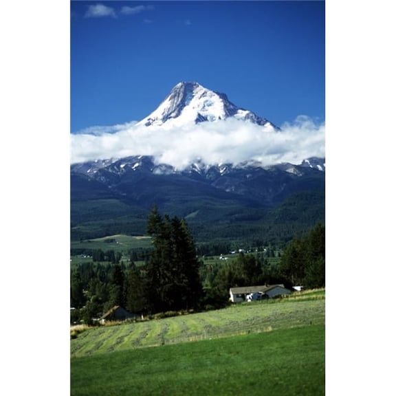 Oregon USA - Mount Hood & Low Lying Cloud Poster Print by John Doornkamp, 14 x 22